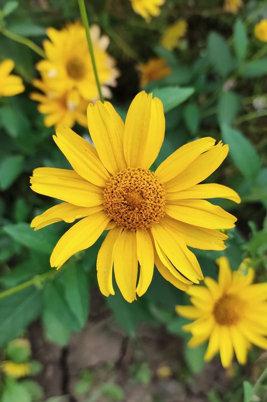 Зарисовки лета  фото превью