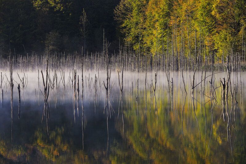 2024 фото превью
