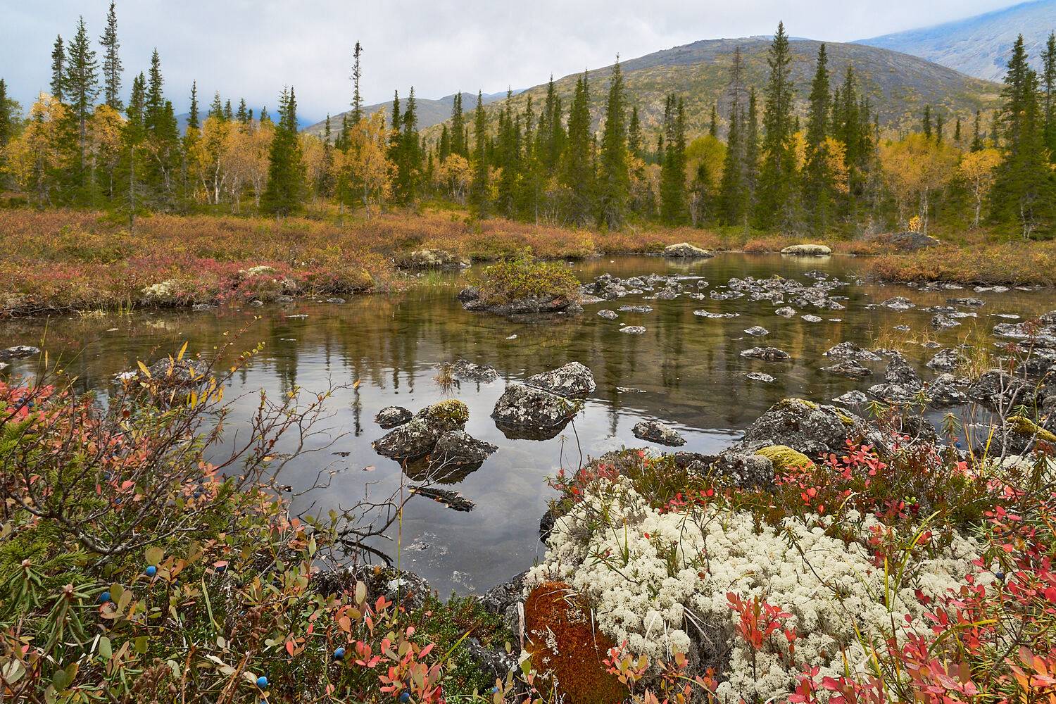 хибины, осень, озеро, Андрей Ростовцев