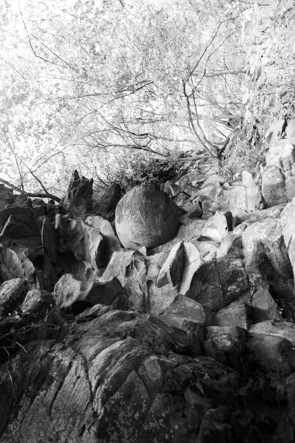 камни, миры, запах, Зорин Миша