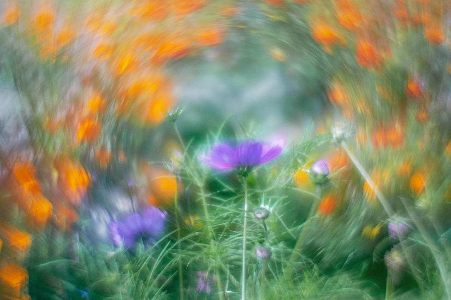 , Анатолий Зверев