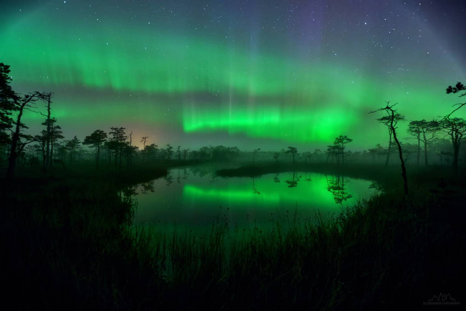 Северное сияние, болото, ночь, Чехонин Александр