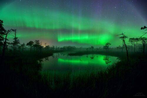 Северное сияние на болоте