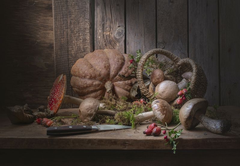 Грибная пора фото превью