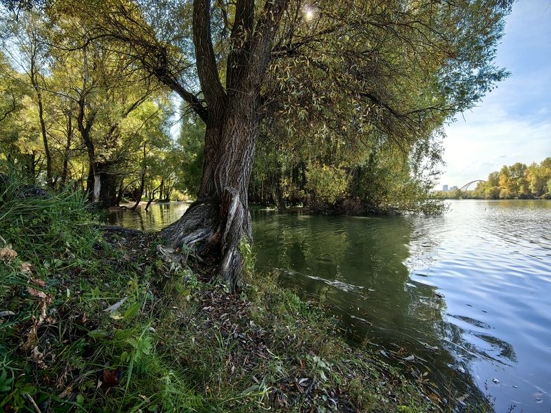 Середина сентября фото превью
