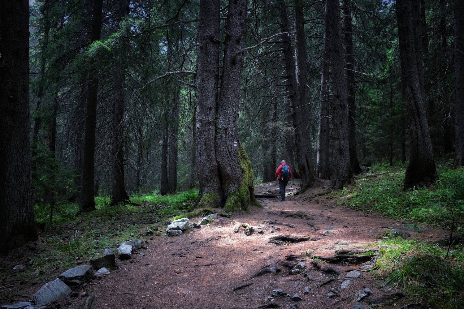 , Юлияна Стоянова