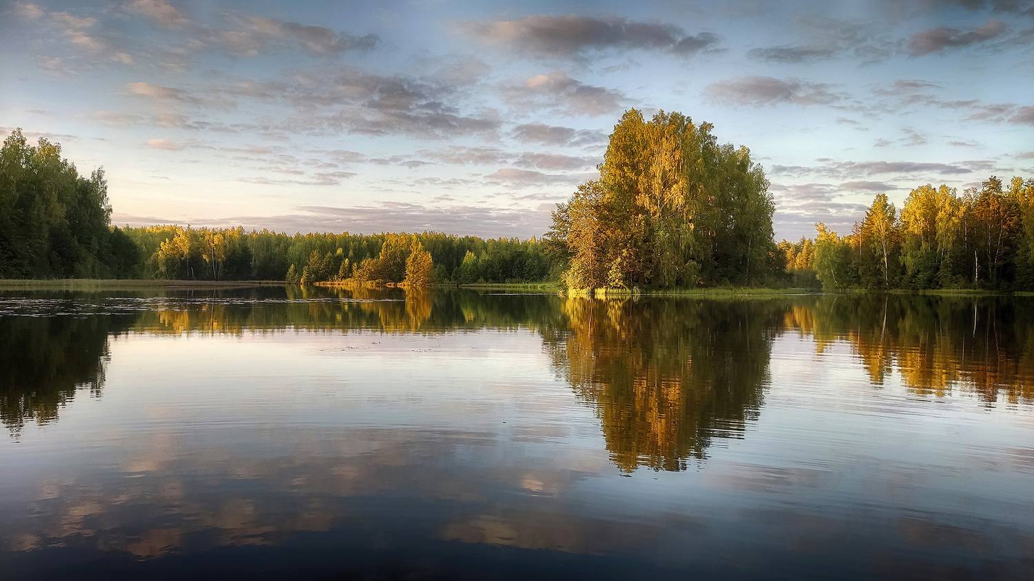 , Сергей Аникин