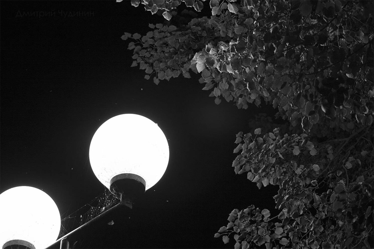 , Чудинин Дмитрий