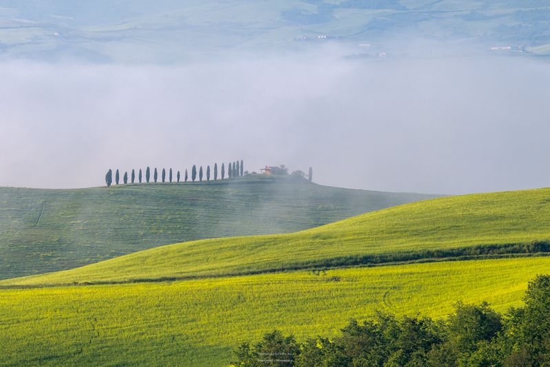 тоскана, пейзаж, утро, туман, кипарисы, италия Тосканский пейзаж фото превью