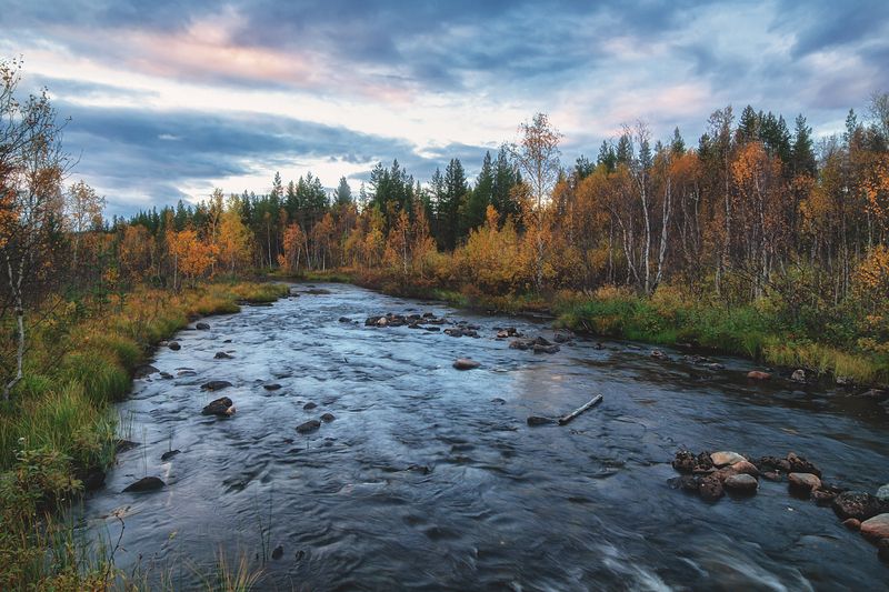Осень ... фото превью