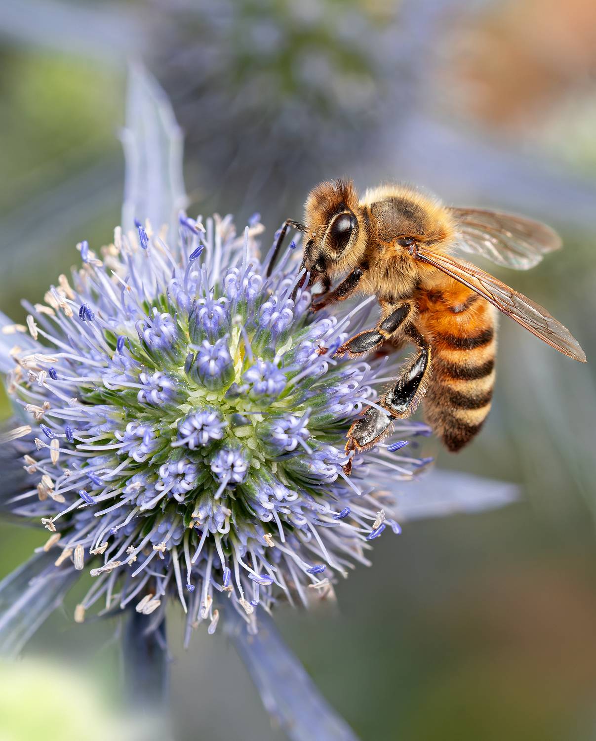 , Ворожцова Марина