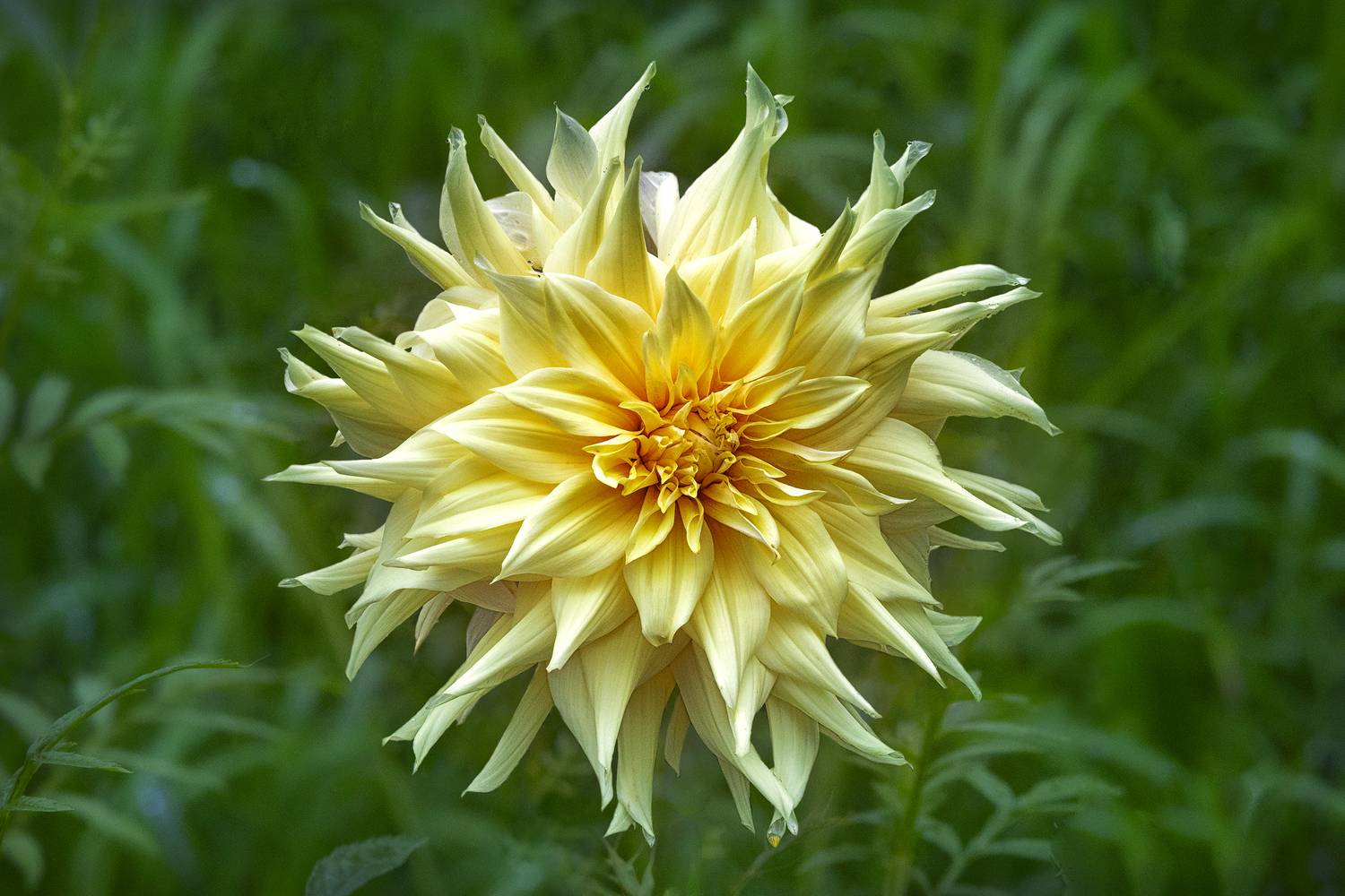 , Ушаков Валерий