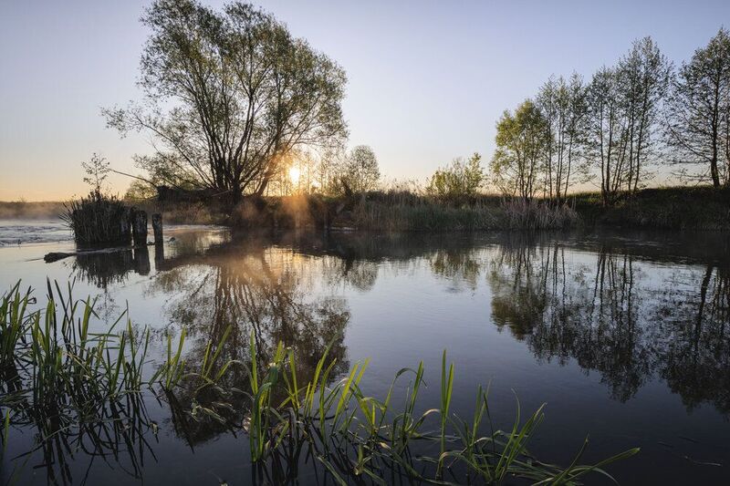 Мпйское утро фото превью