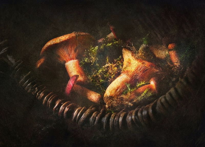 натюрморт, осень, грибы, лес, still life  Сердце осени грибное  фото превью