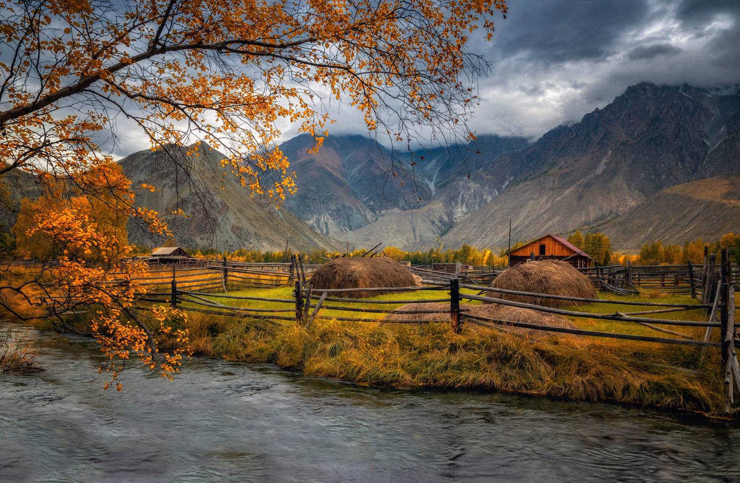 горный алтай, осень, деревня в горах, Lora Pavlova