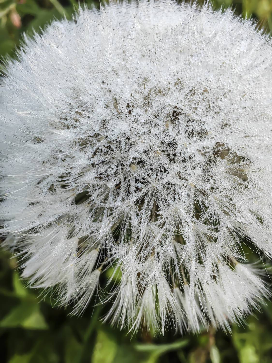 , Ольга Лукахина