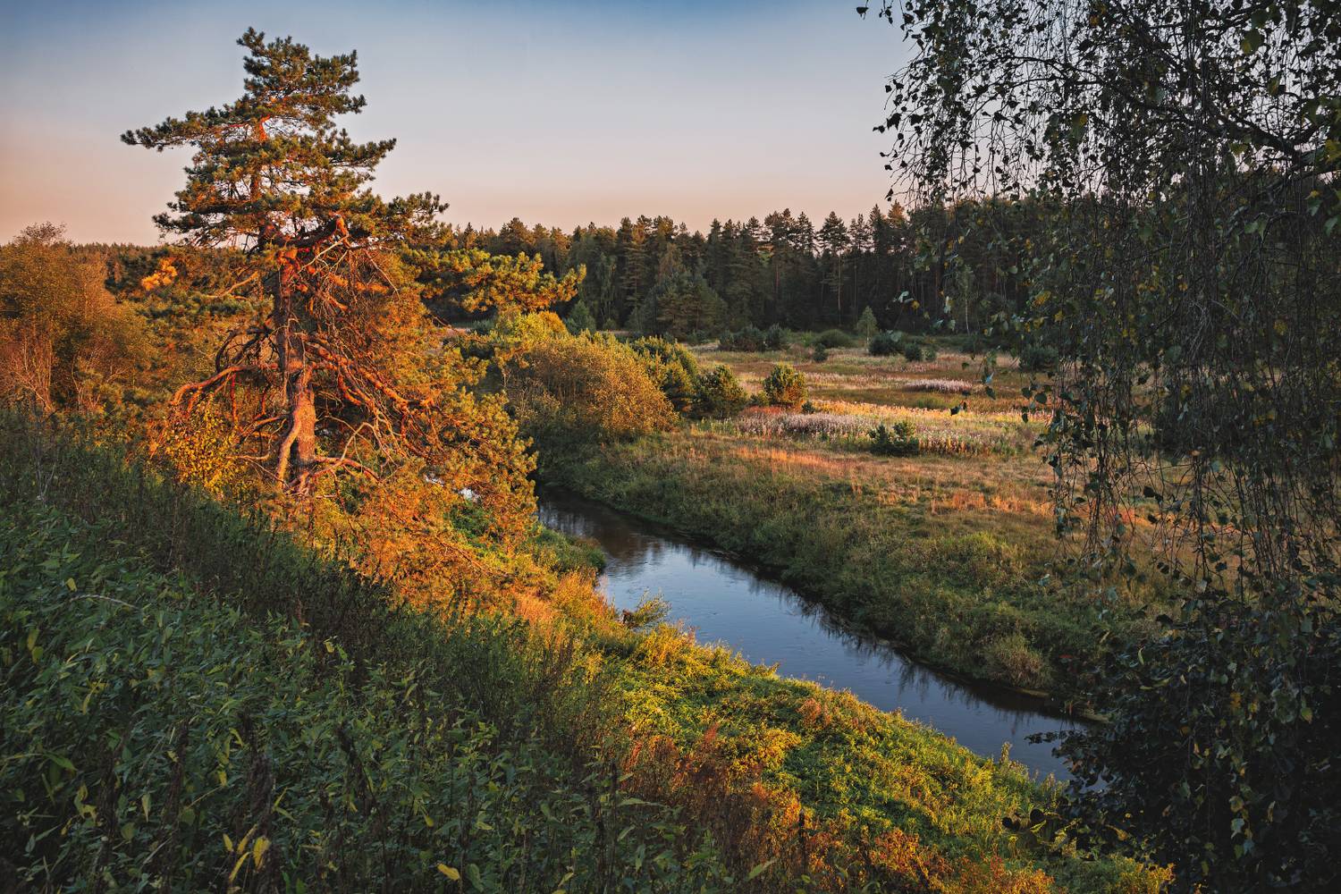 , Евгений Ерохин