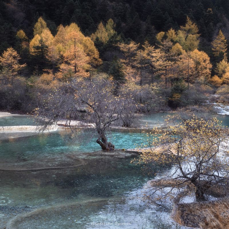 Китай фото превью