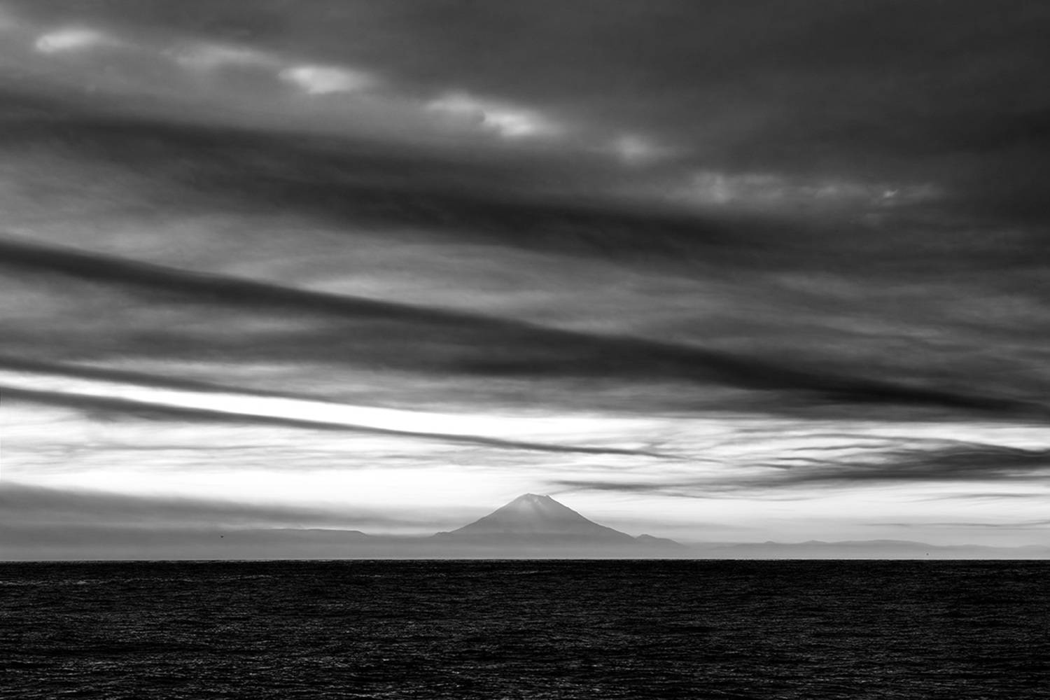 , Моисеева Надежда