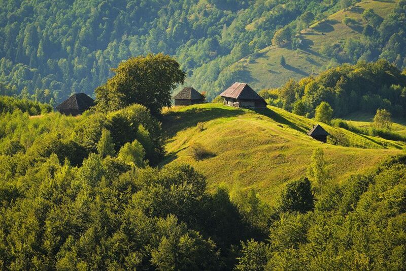 2020 фото превью