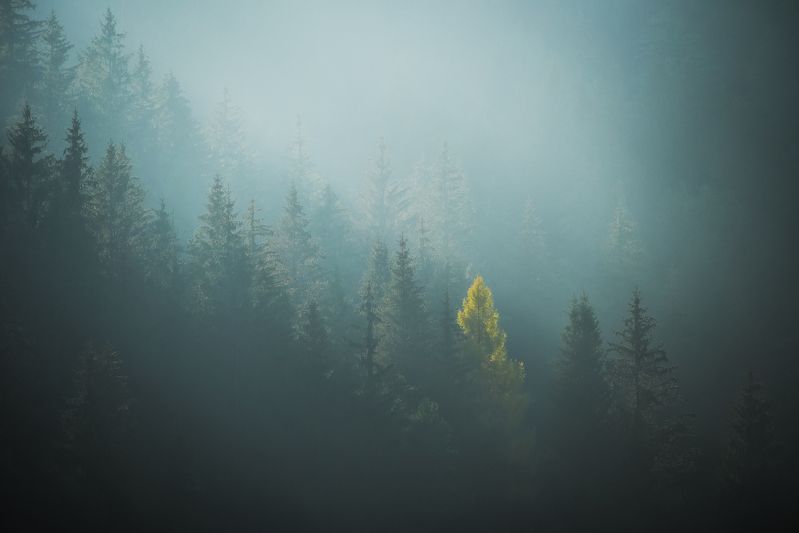 2020 фото превью