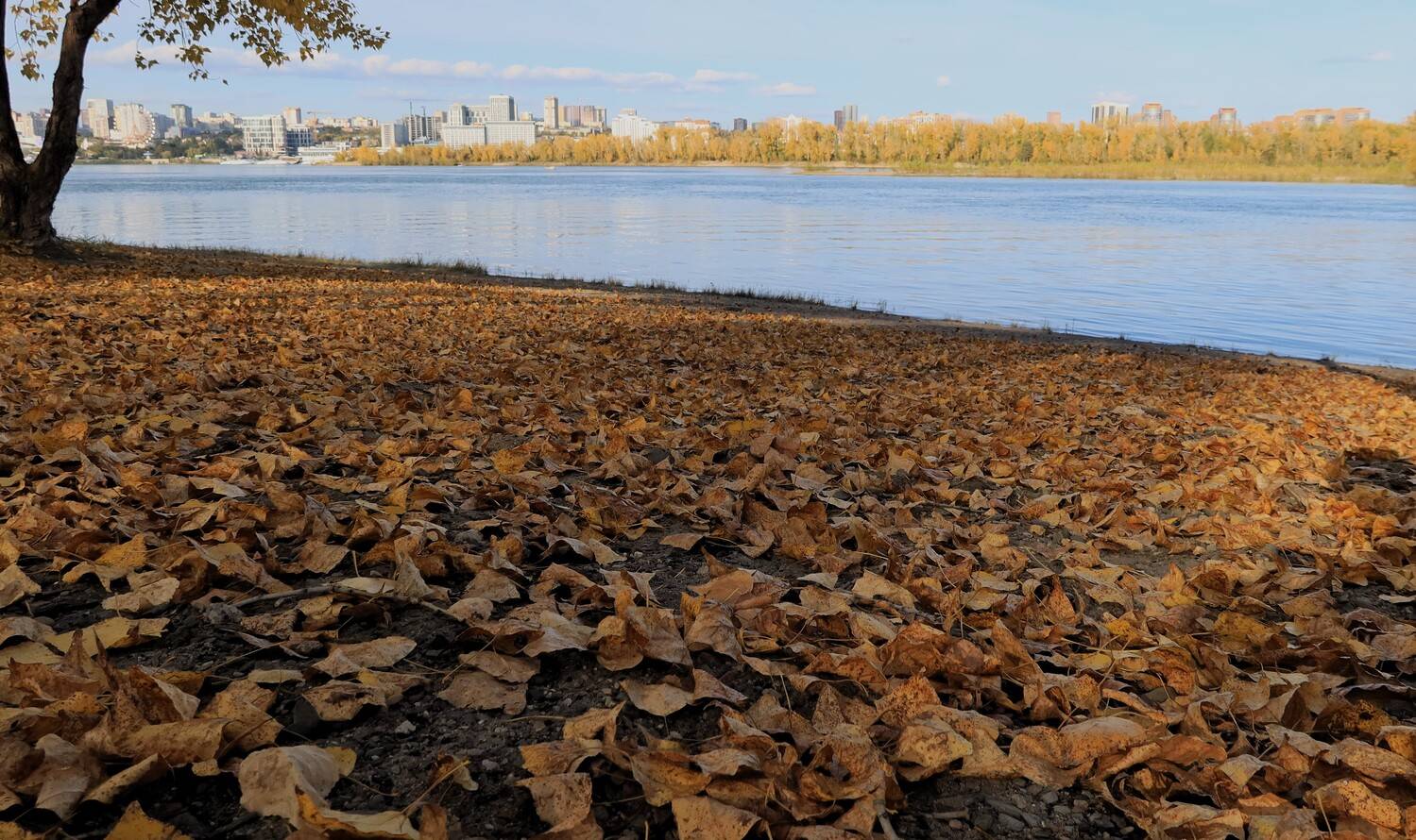 природа,река,осень,листья, Козлова Галина