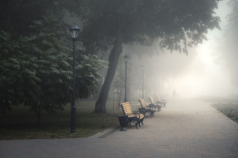 туман, парк, аллея, фонари, осень Туман как утренний сон города... фото превью