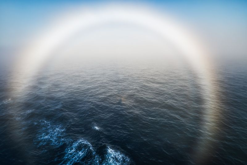 Белая Радуга фото превью