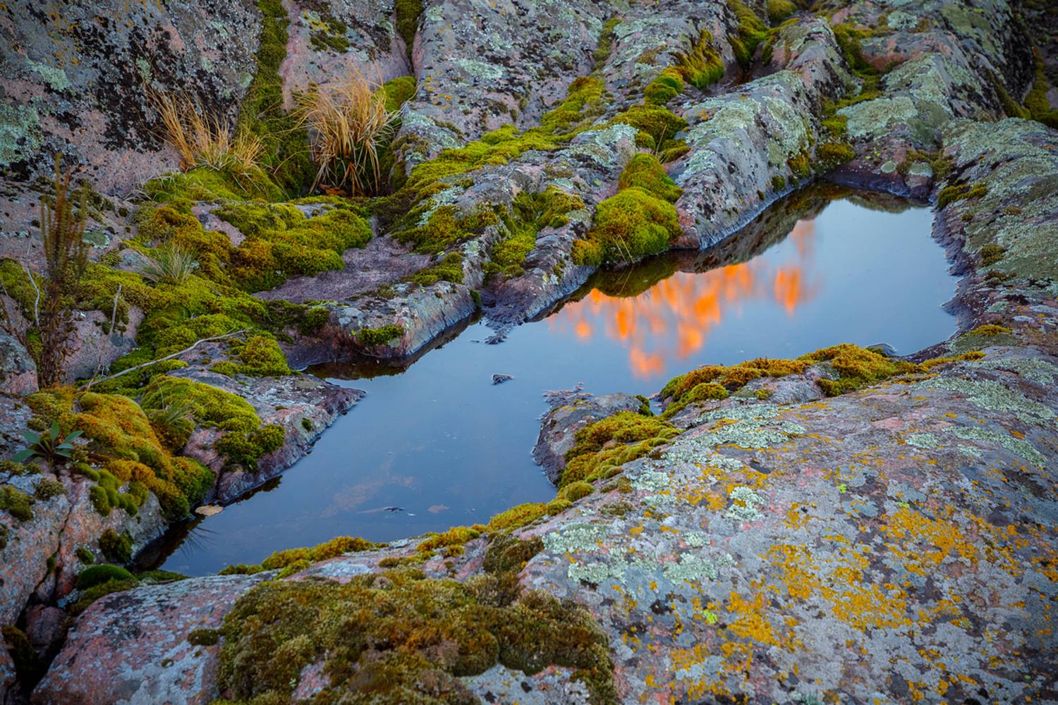 осень, золотая осень, ладожские шхеры, карелия, ладога, северное приладожье, сортавала, питкяранта, русский север,северная природа, северный пейзаж, пейзажи карелии, фототуры по карелии, фототуры по ладоге, фототур на ладожские шхеры, Уютнов Кирилл
