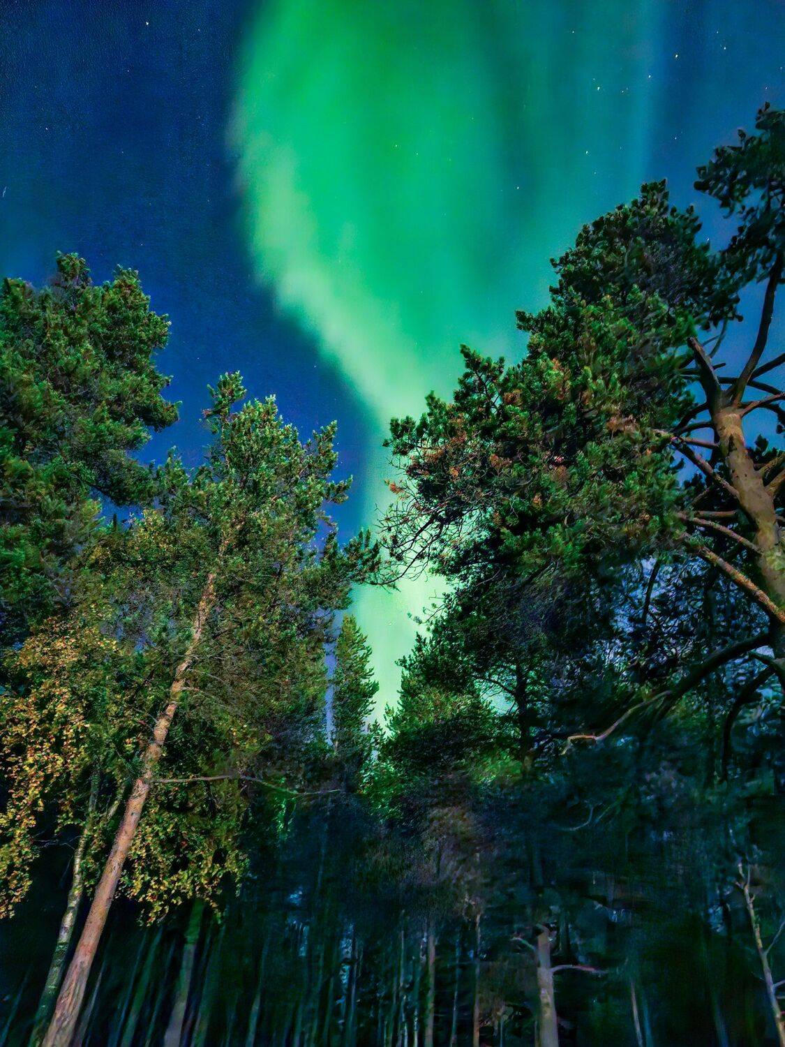 , Александр Сахар