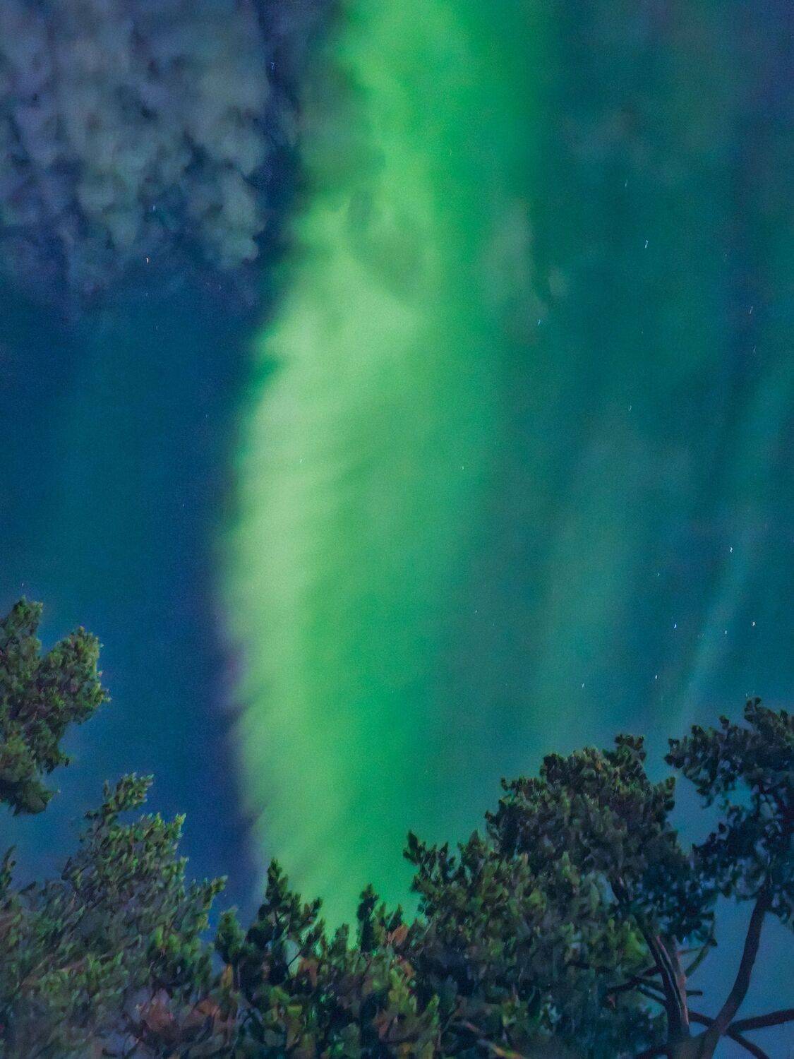 , Александр Сахар