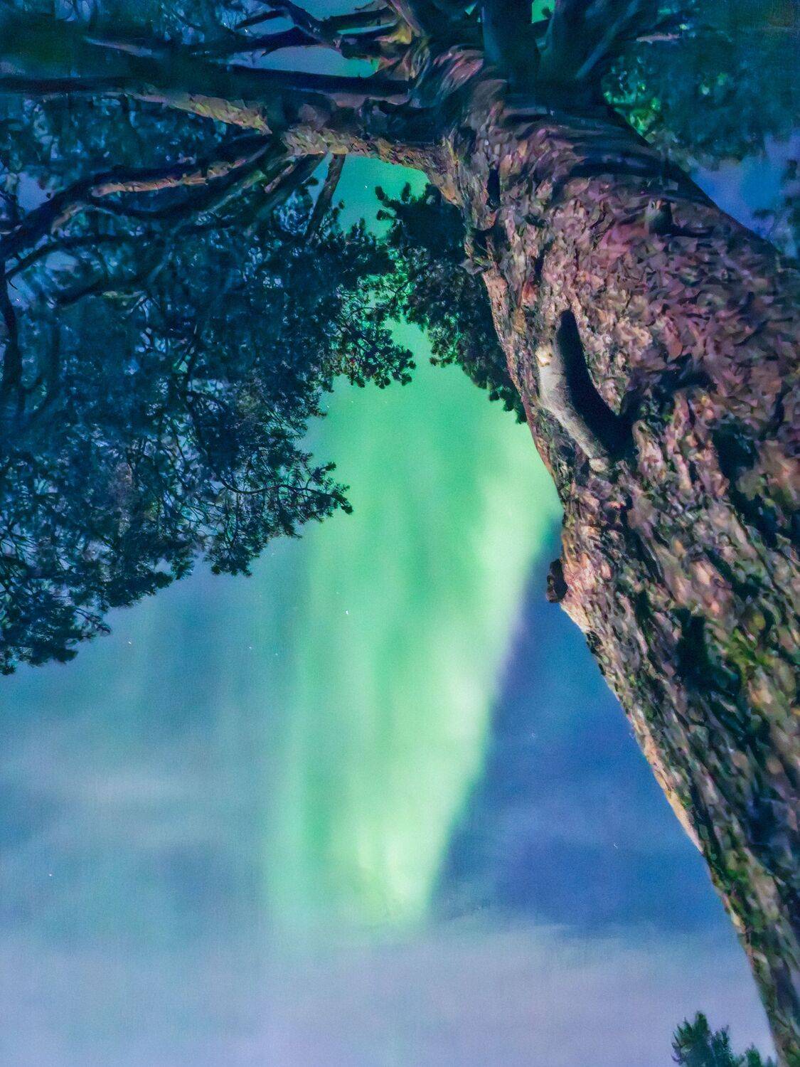 , Александр Сахар