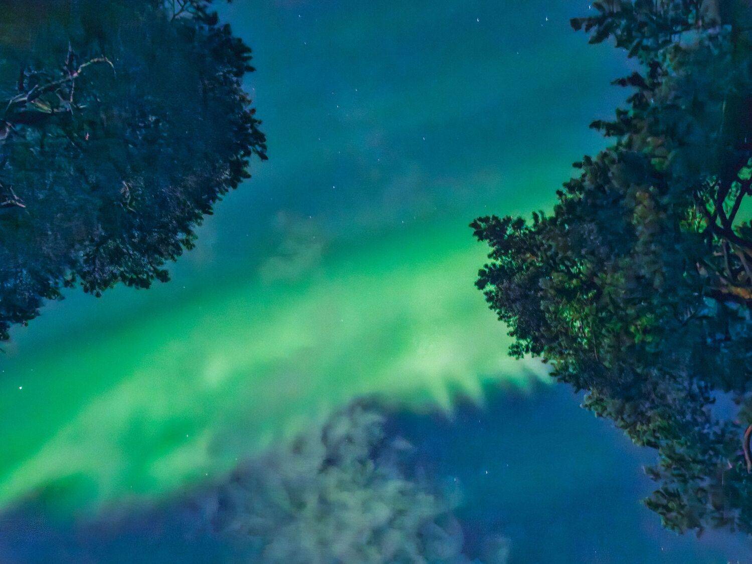 , Александр Сахар