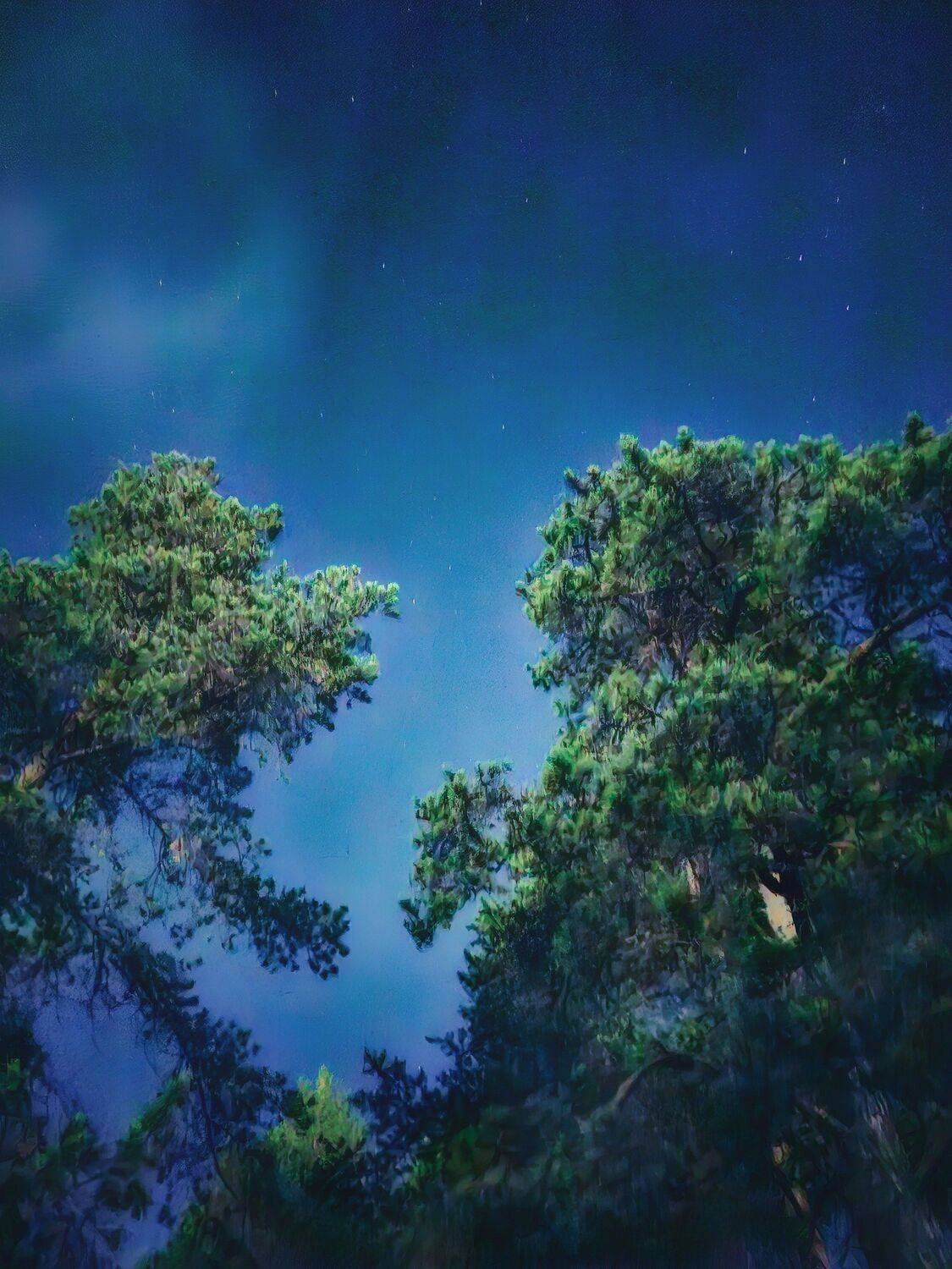 , Александр Сахар