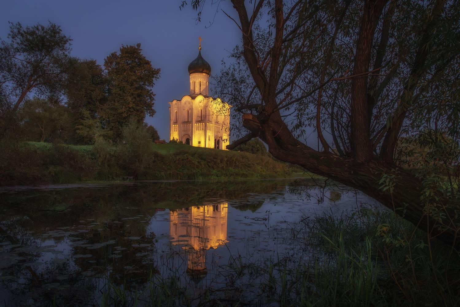 Владимирская область, Гусева Елена