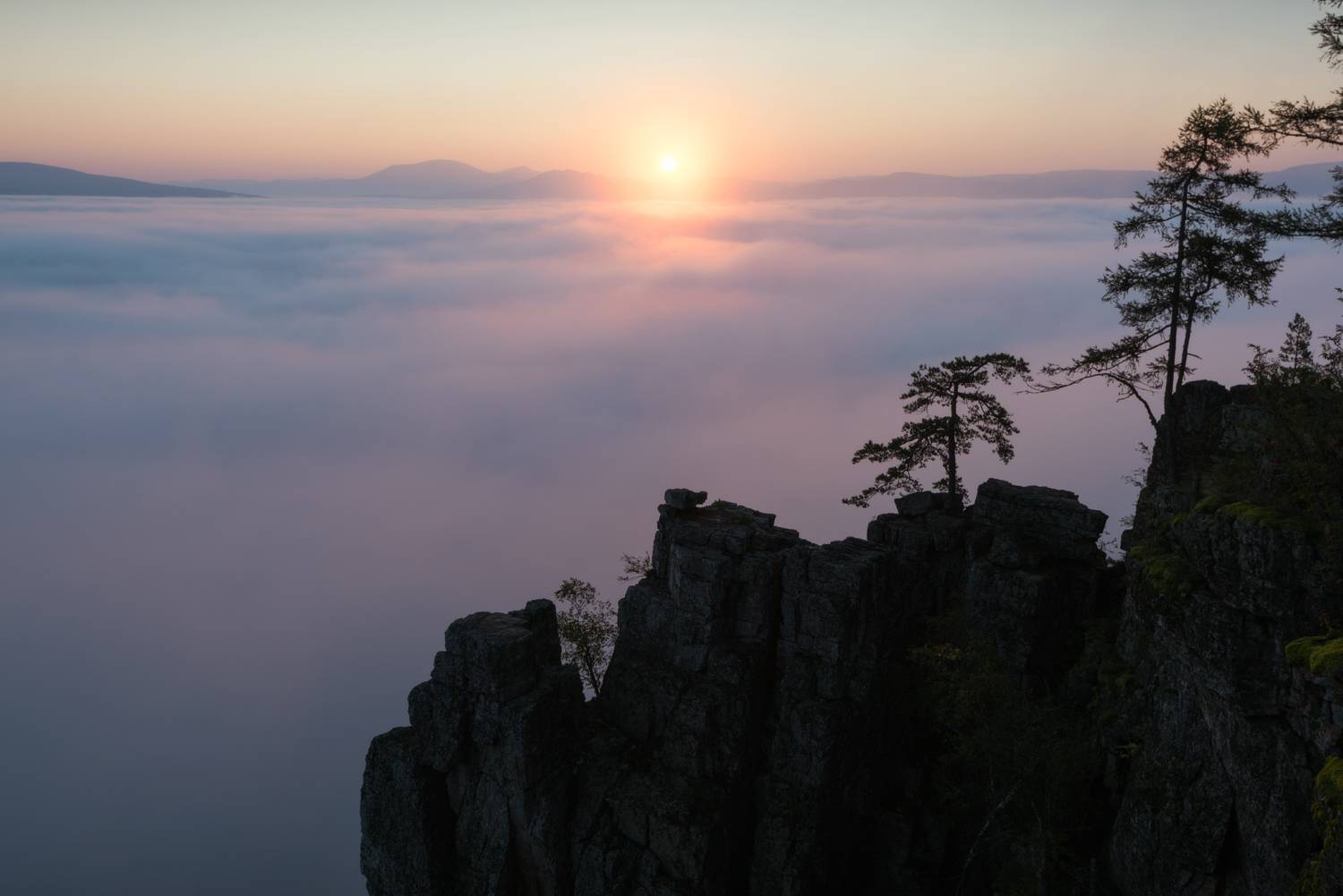 , Алексей Проняхин