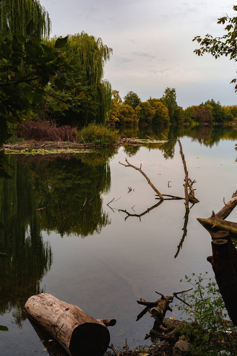 , Вертиков Юрий