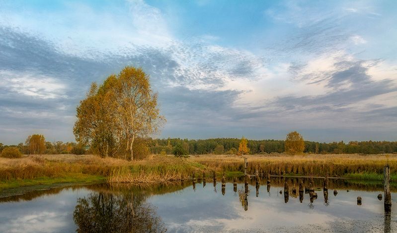 Осеннее утро. фото превью