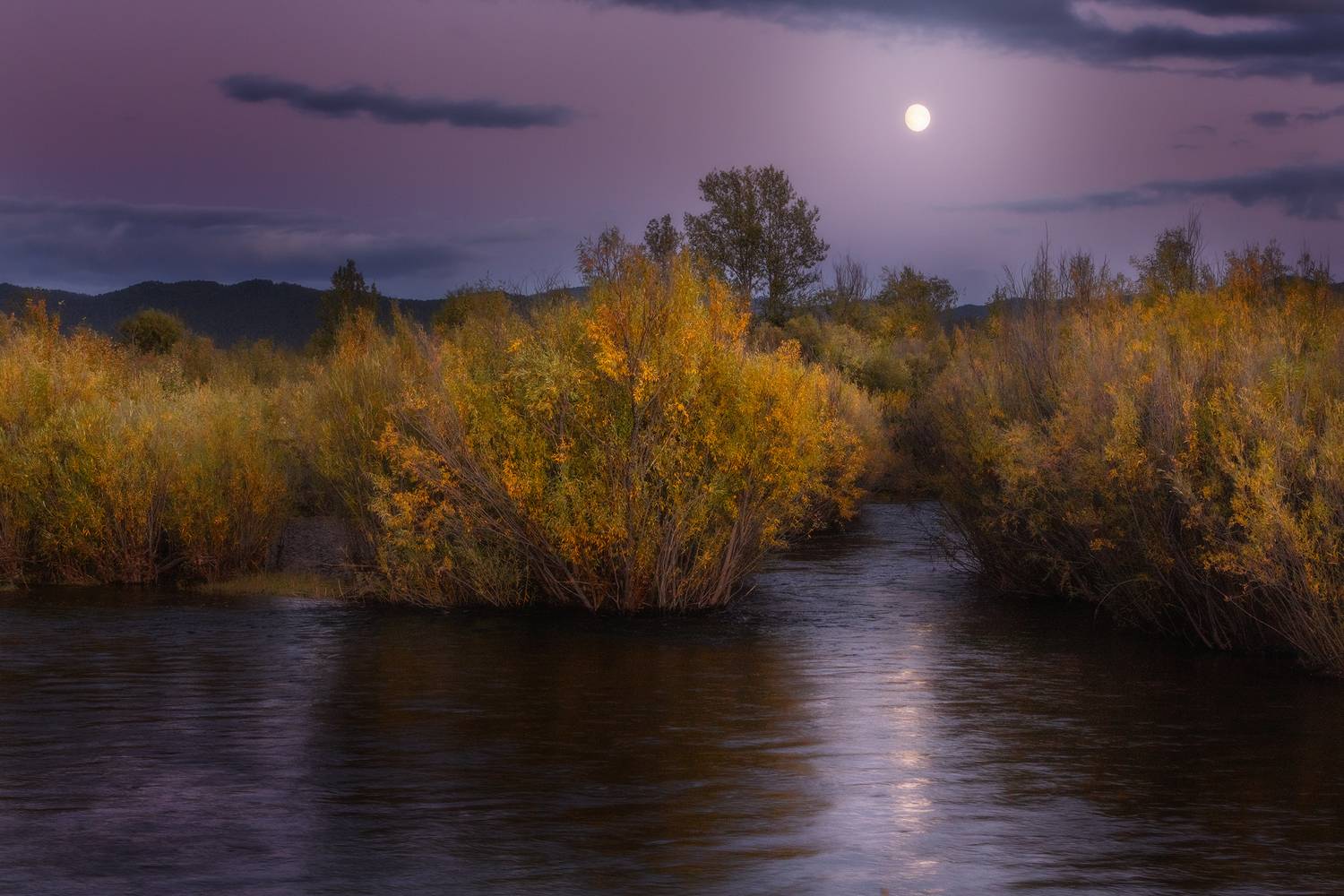 , Владимир Климов