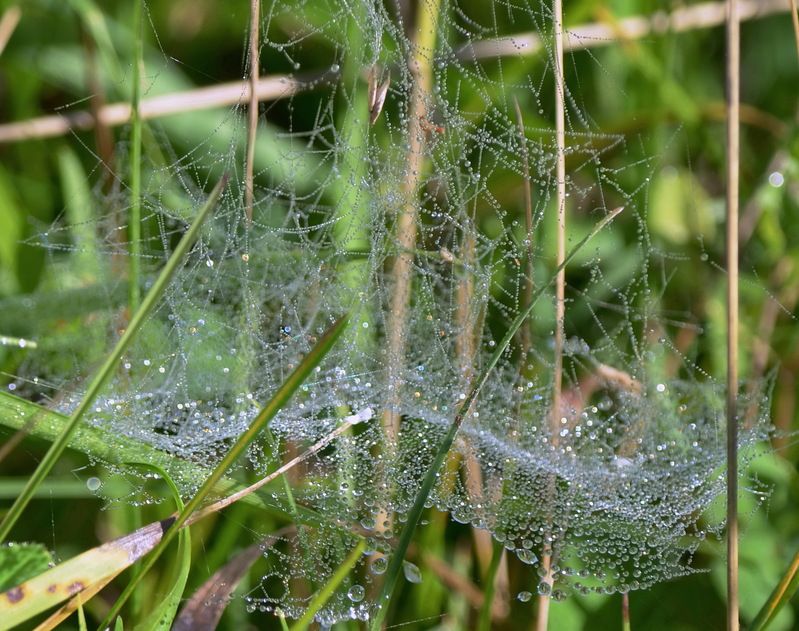 Маленький космос.... фото превью