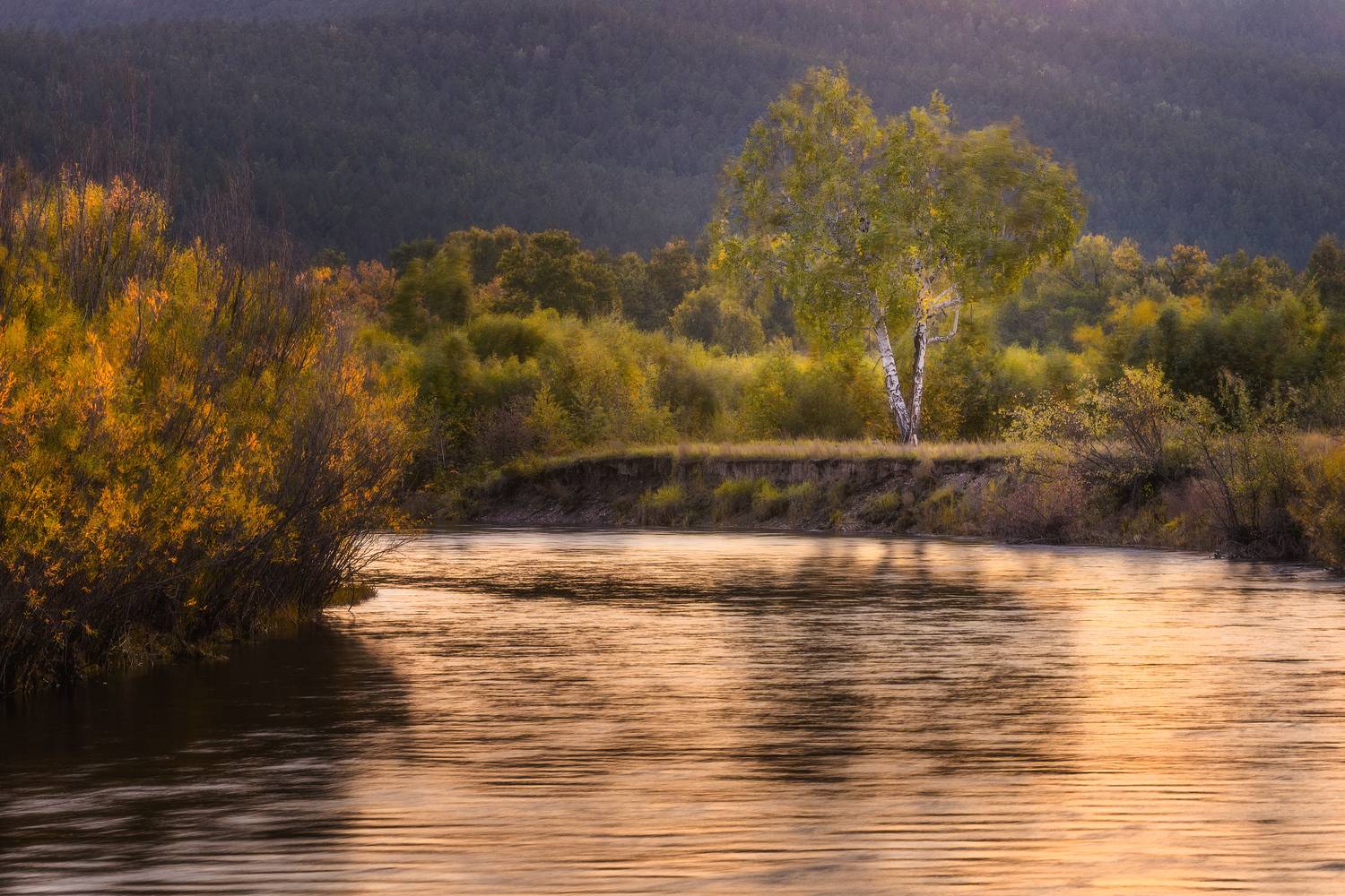 , Владимир Климов