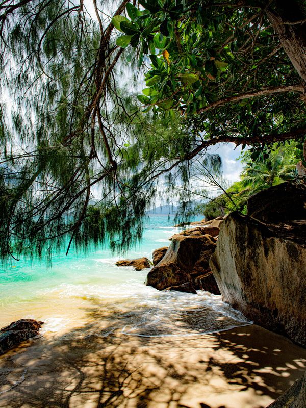 A place to be фото превью