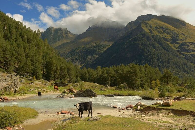 Вот и лето прошло фото превью