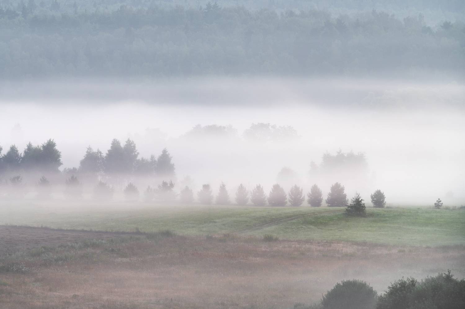 , Алексей Турчин