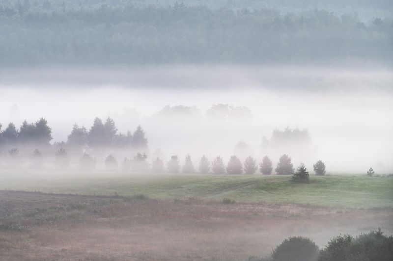 Панское фото превью