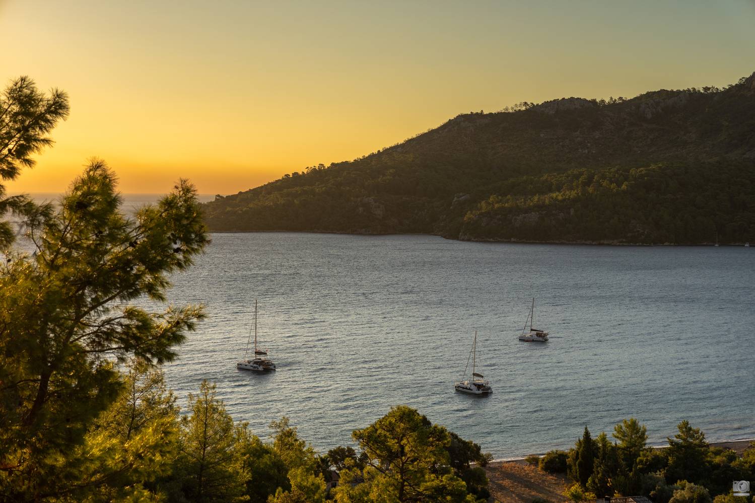 турция, Dmitry Kovalev