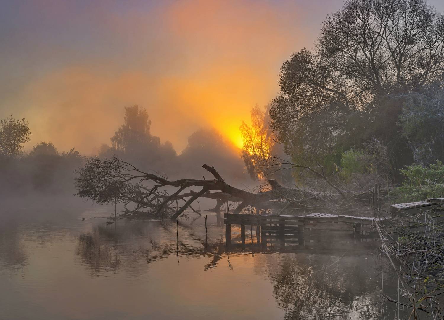 утро, свислочь, беларусь, Александр Гвоздь