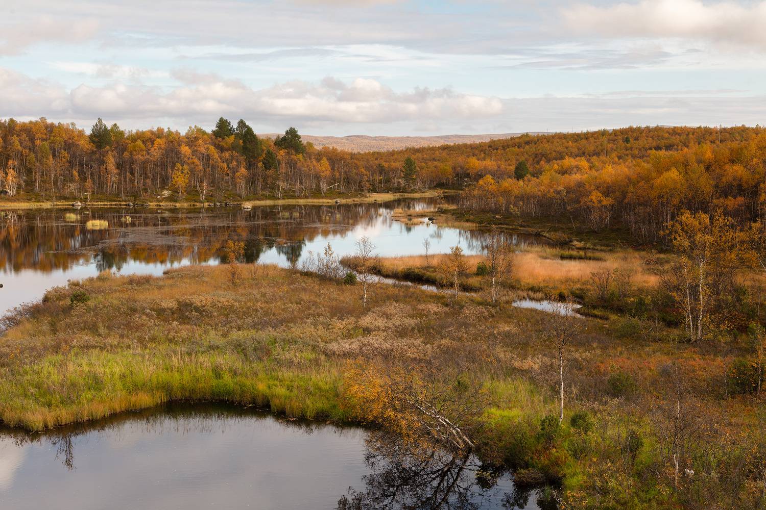 , Ворошилов Александр
