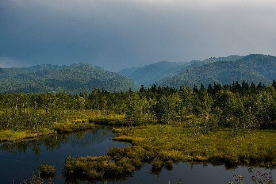 , Ольга Свистунова