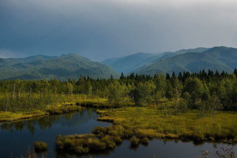 Мое - родное!  фото превью